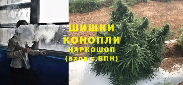 соль ск Абаза