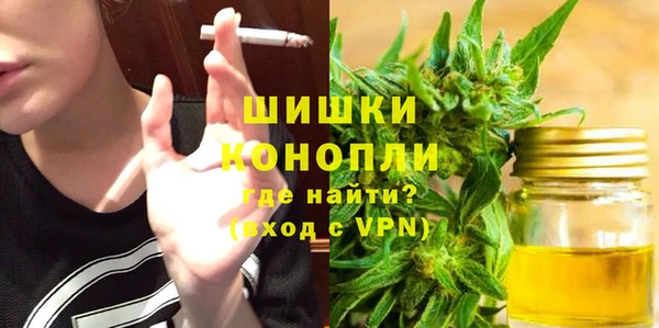 индика Майский