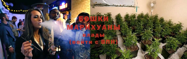 каннабис Алзамай